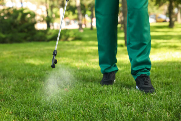 Best Pest Inspection Near Me  in Elida, OH