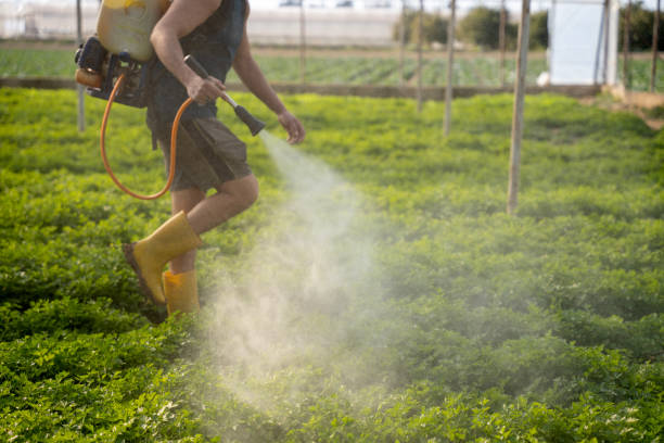 Best Affordable Pest Control Services  in Elida, OH